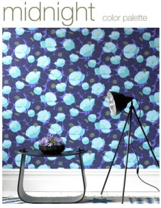 01_collection_midnight