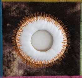 DailyBeautyDetail3_01